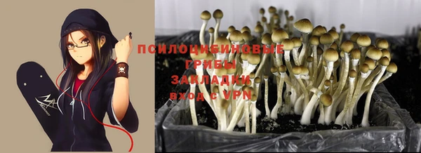 мескалин Белокуриха