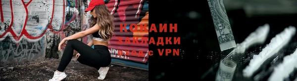 соль ск Богородицк